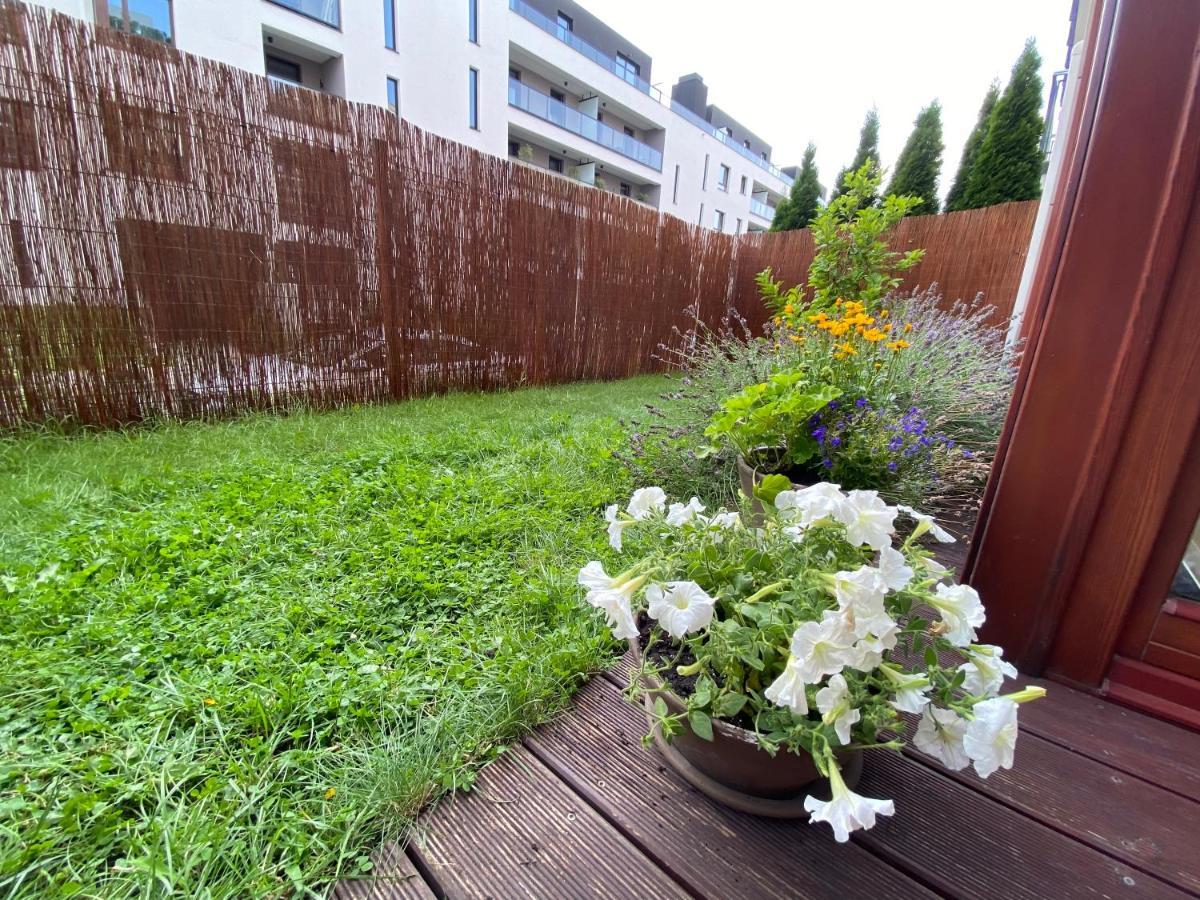 Blekitny Apartament - Wilanow 华沙 外观 照片